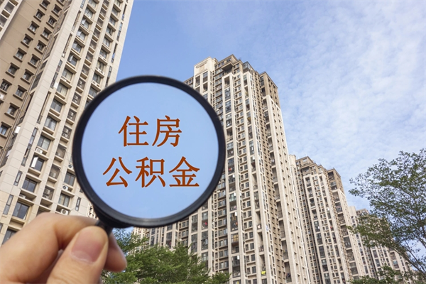 乳山离职公积金代办（乳山离职公积金代办哪家好）